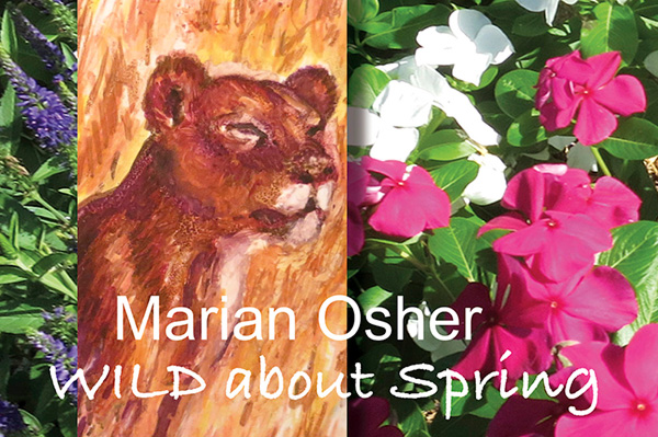 WILD about Spring composit by Marian Osher